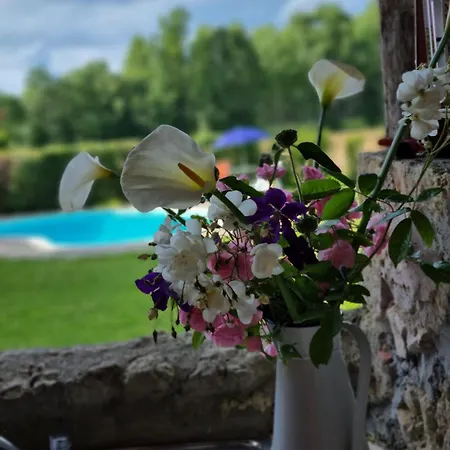 Maisonnette Dans Village Medieval - 2 Pers - Piscine Privee & Jardin *