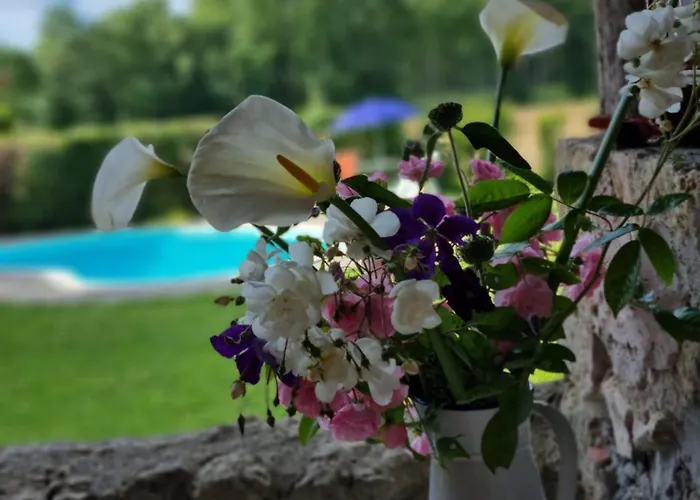 Maisonnette Dans Village Médiéval - 2 Pers - Piscine Privée&jardin *